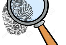 Digital Fingerprints on Demand